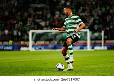 牌类科普阶段总结（牌类知识普及阶段性回顾）